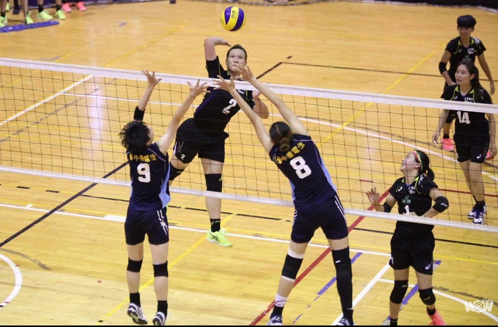 《排球》亞瑟士排球賽 師大封后 蔡式體育稱王