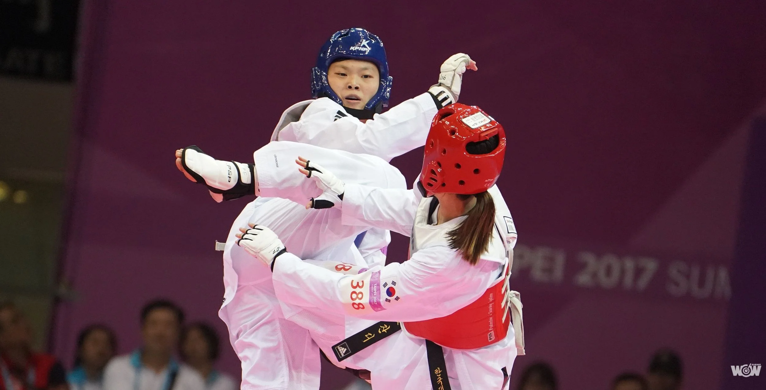 《跆拳道》歷經生涯最大挫敗 莊佳佳明白輸贏非人生最重要的事