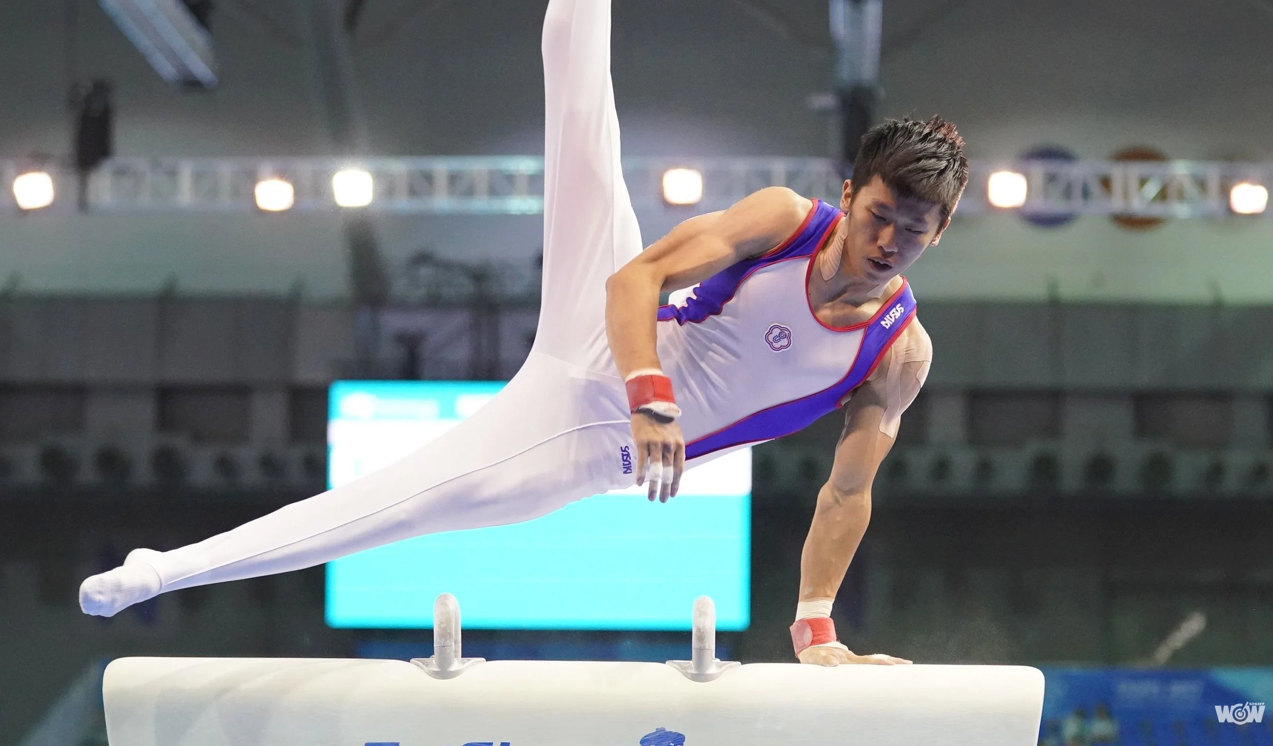 《體操》熬過孤單與寂寞 李智凱堅持逐夢