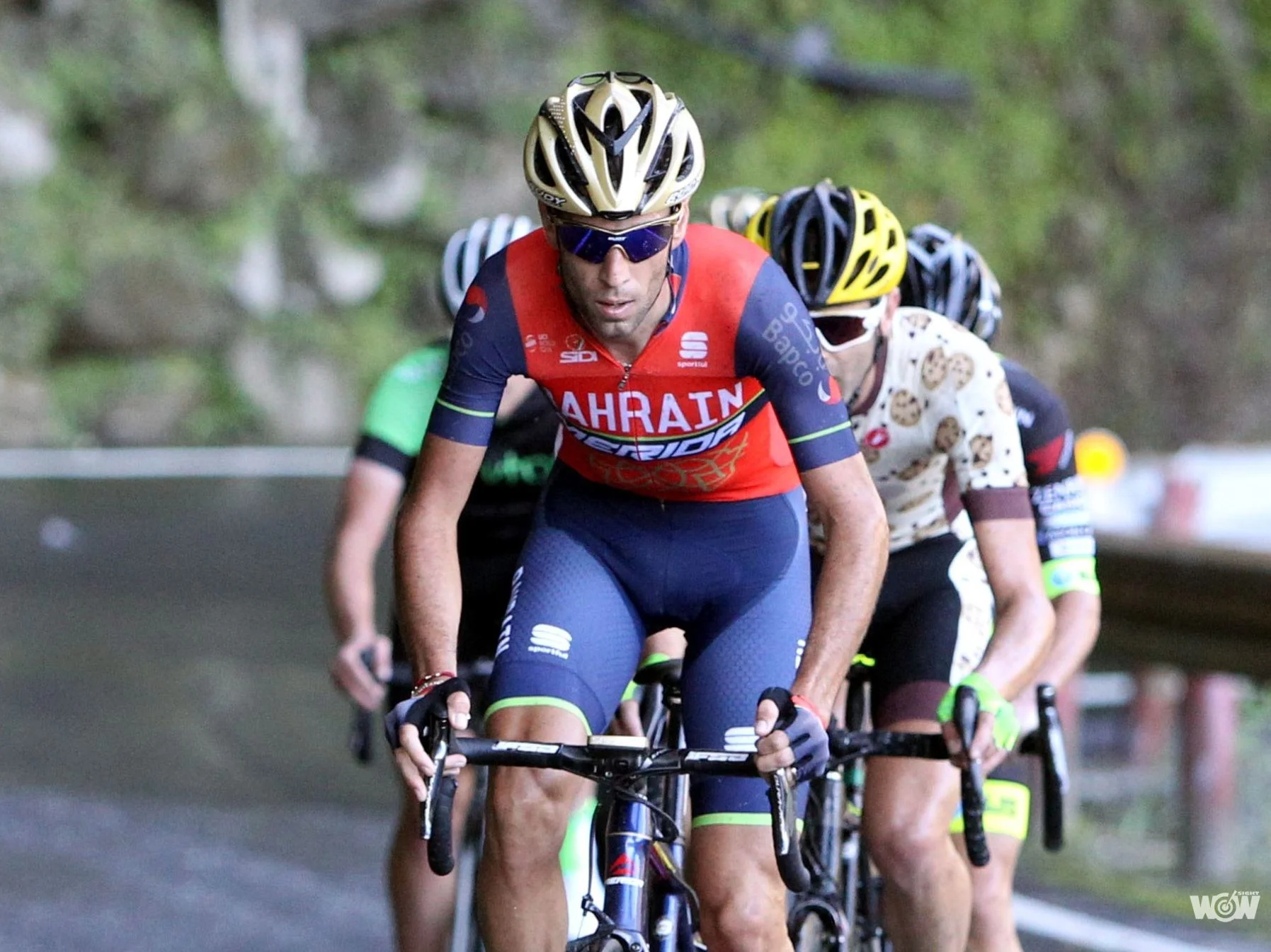 《自行車》名副其實 尼巴利不但奪登山王冠軍還立下「尼巴利障礙」