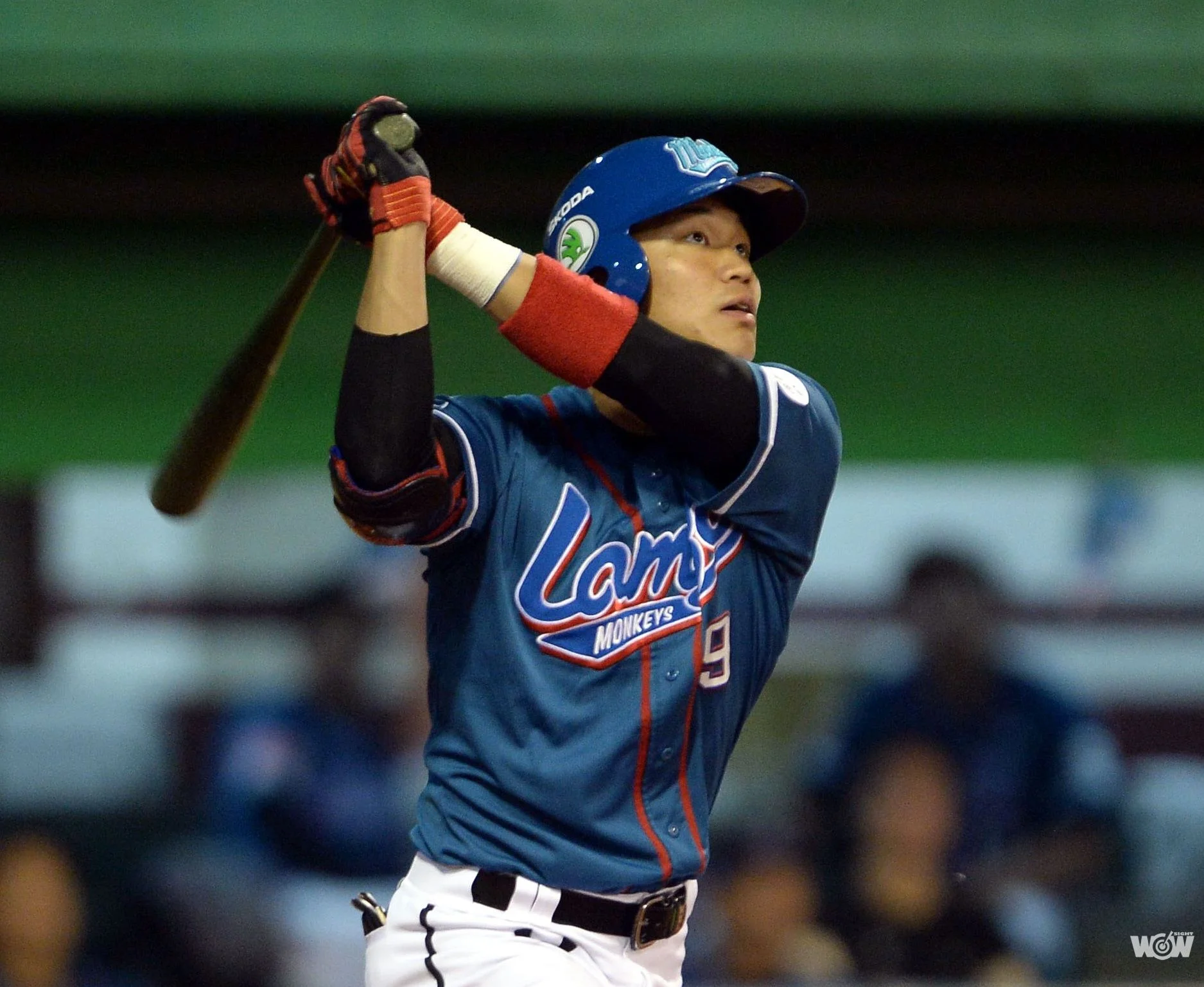 《棒球》王柏融中職出發 成為世界的大王