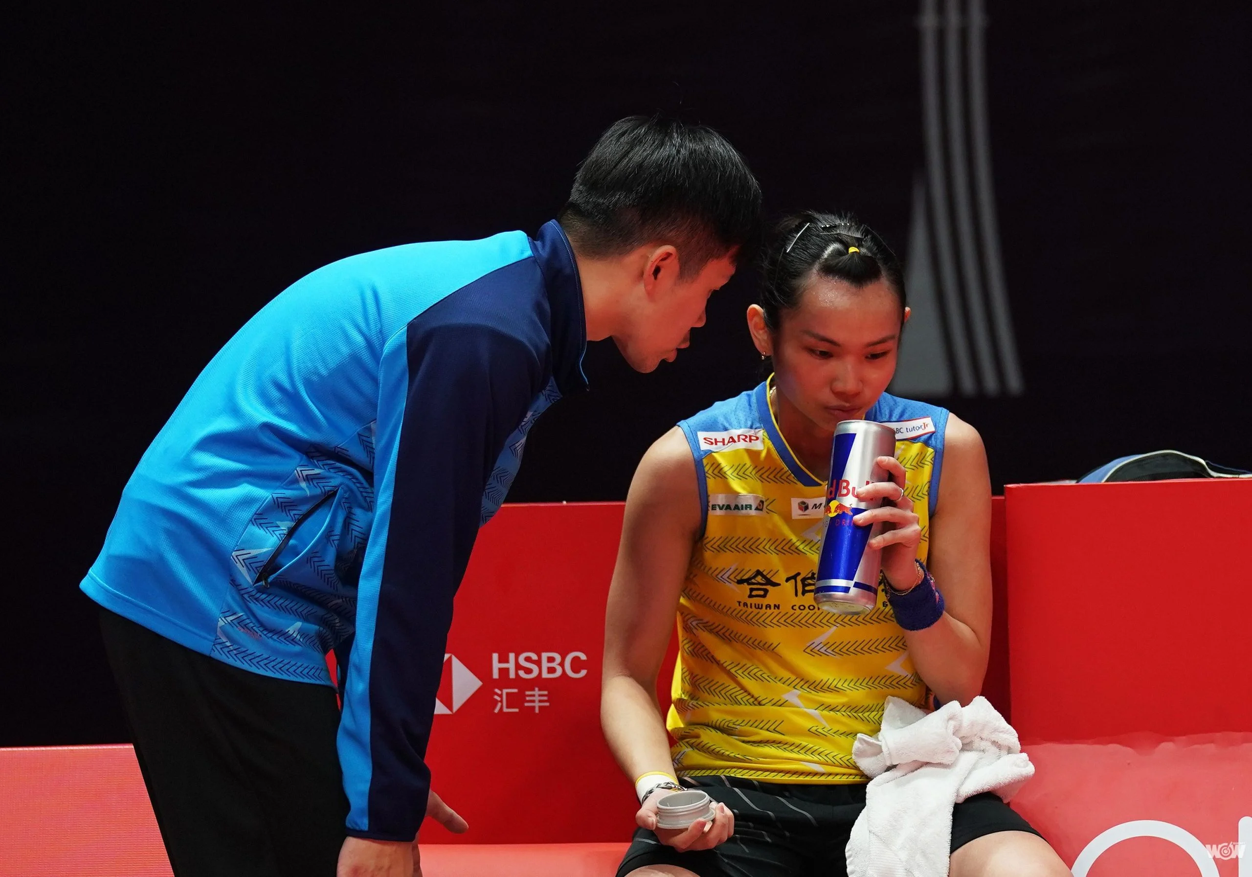 《羽球》腳傷退賽無緣年終賽四強 戴資穎：下次再努力吧！