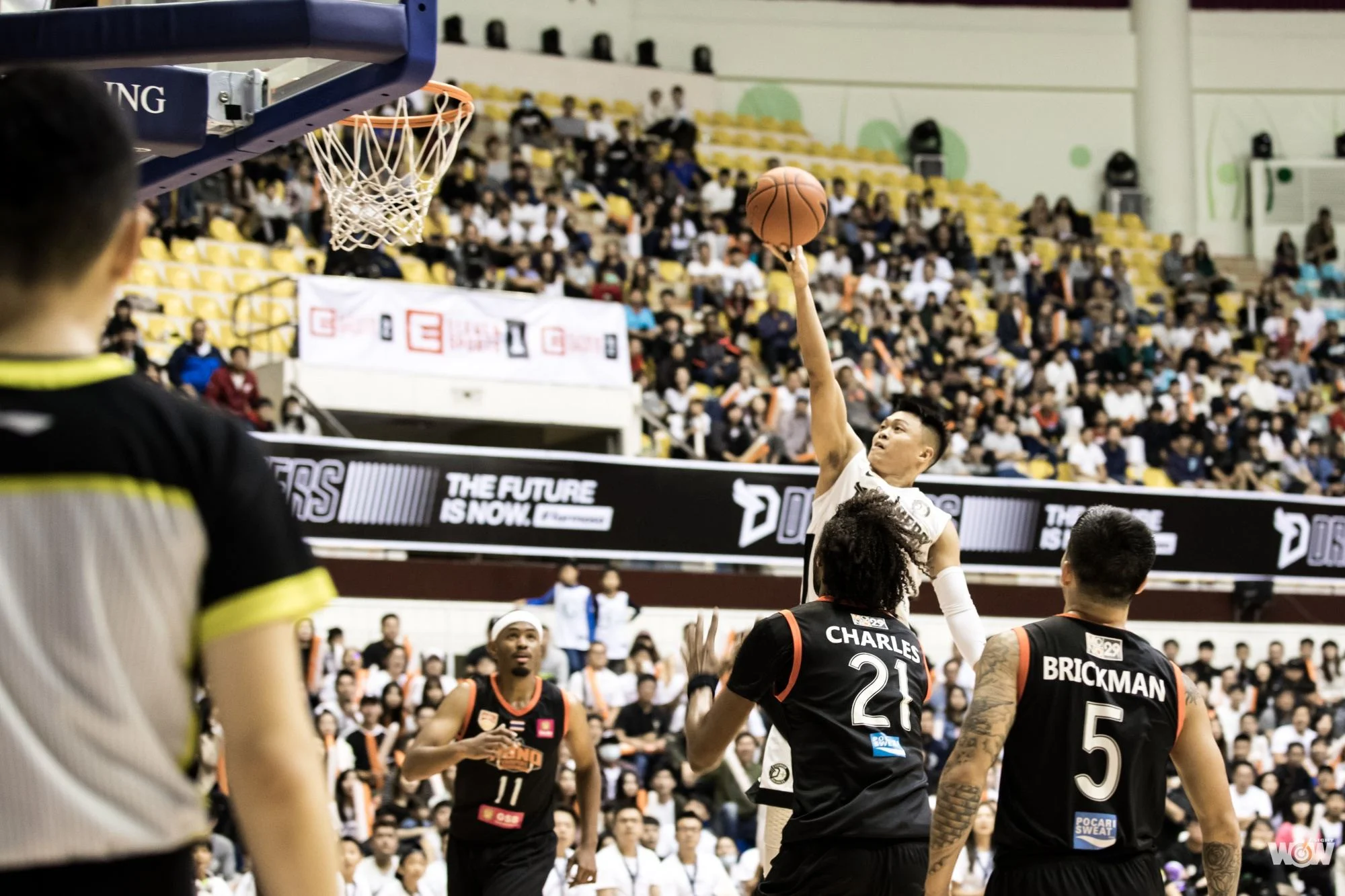 《籃球》團隊一家親 夢想家開季六連勝