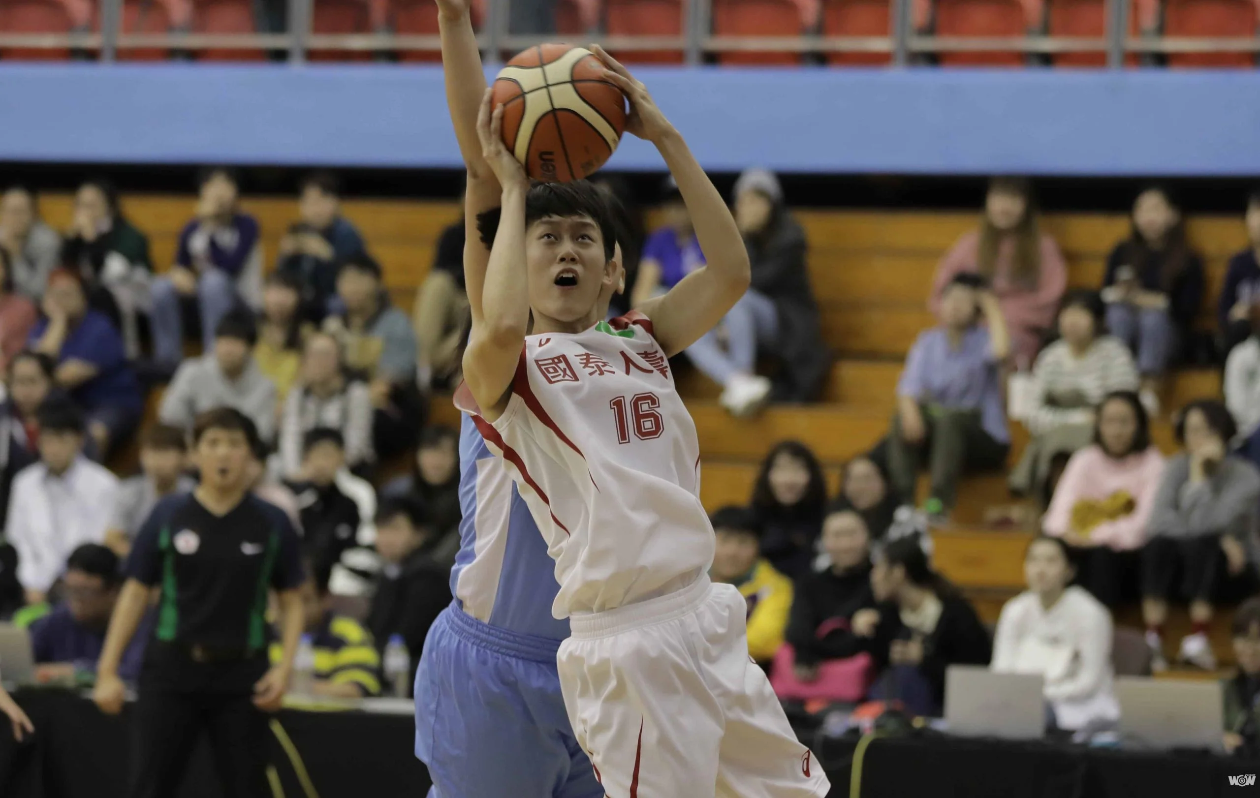 《WSBL》新球季新氣象 國泰、台元菜鳥建功奪勝