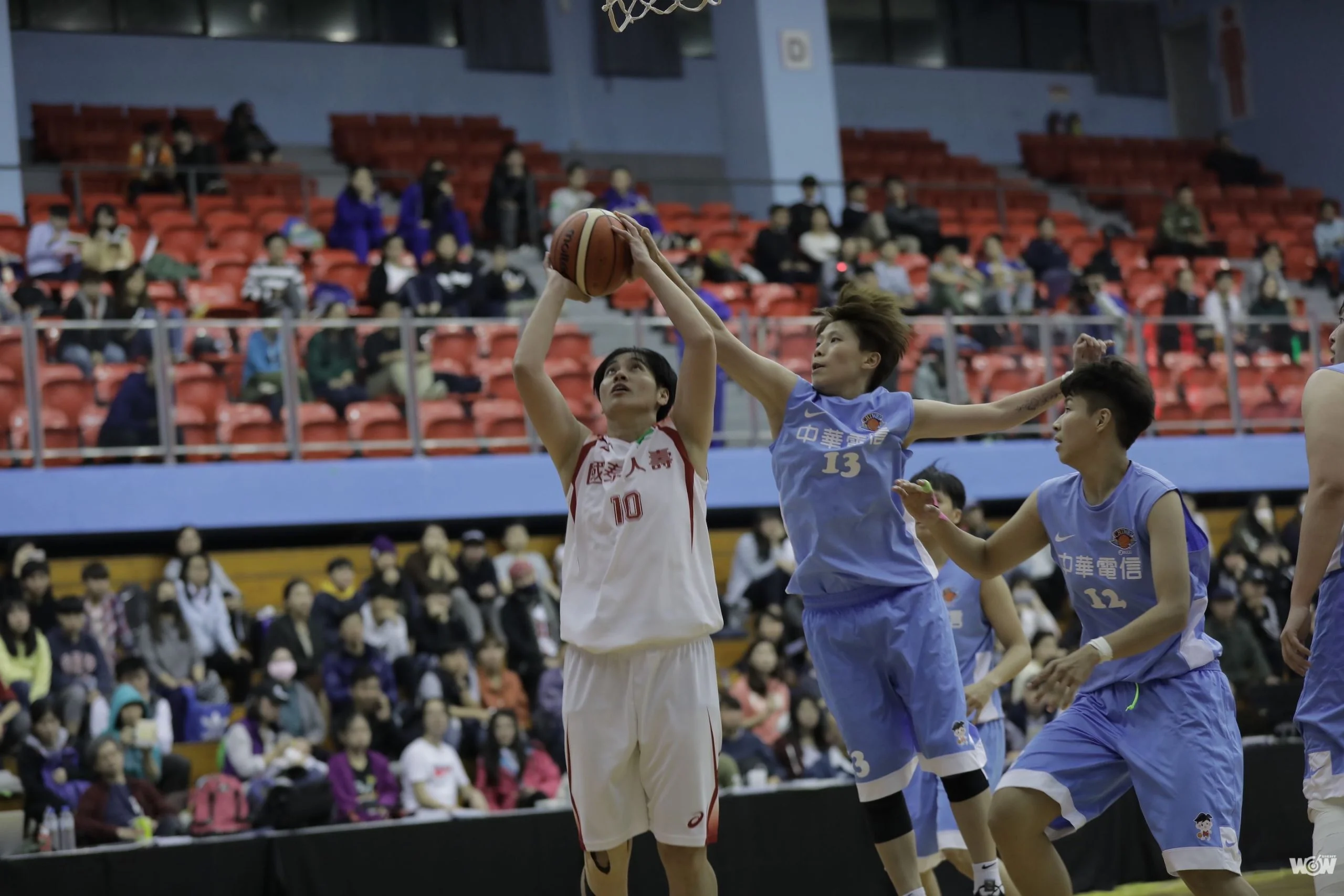 《WSBL》年前封關戰 鄭伊秀、黃鈴娟聯手飆分 國泰退電信奪6連勝