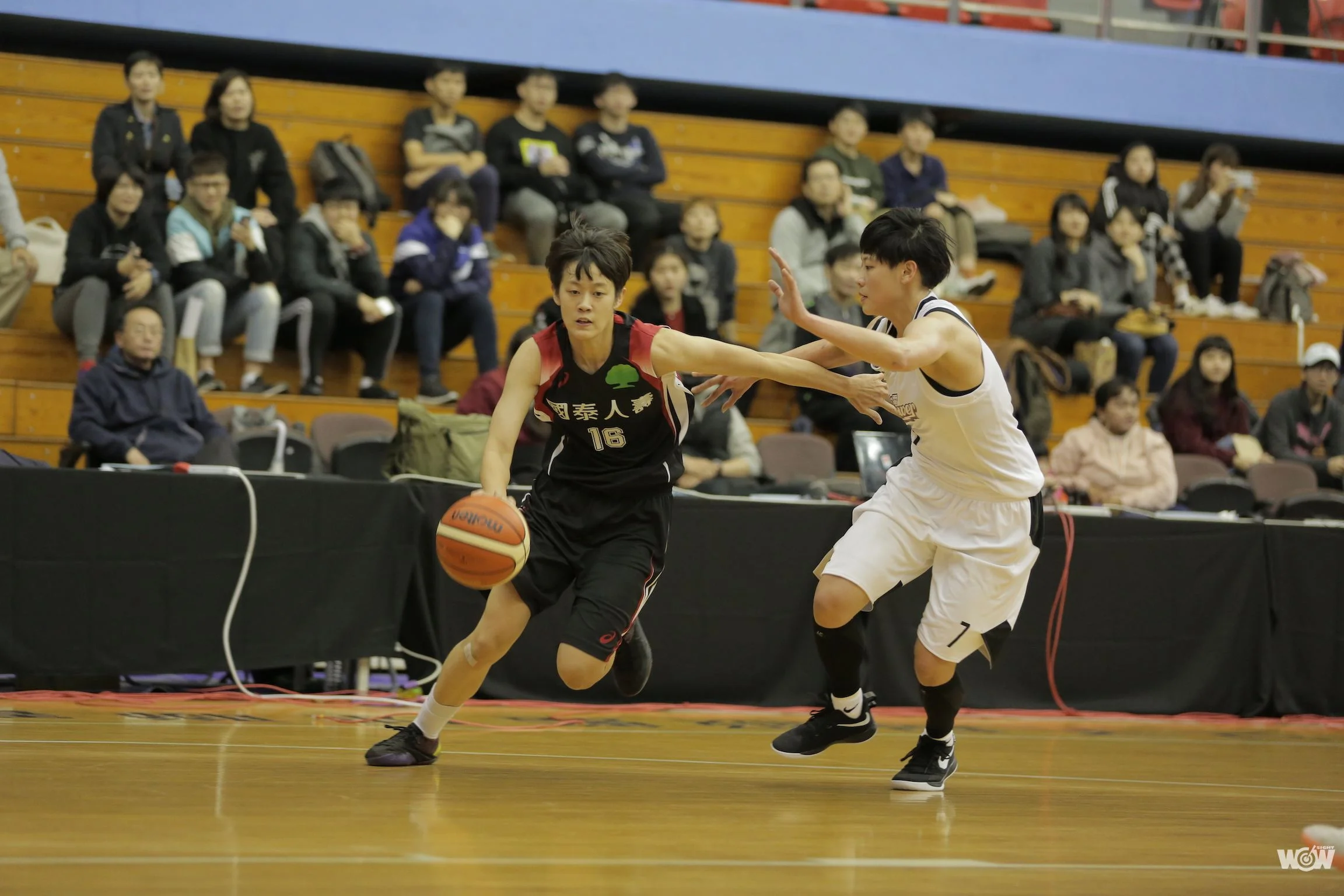 《WSBL》第一循環結束國泰3連勝 菜鳥陳薇安場均22分搶眼