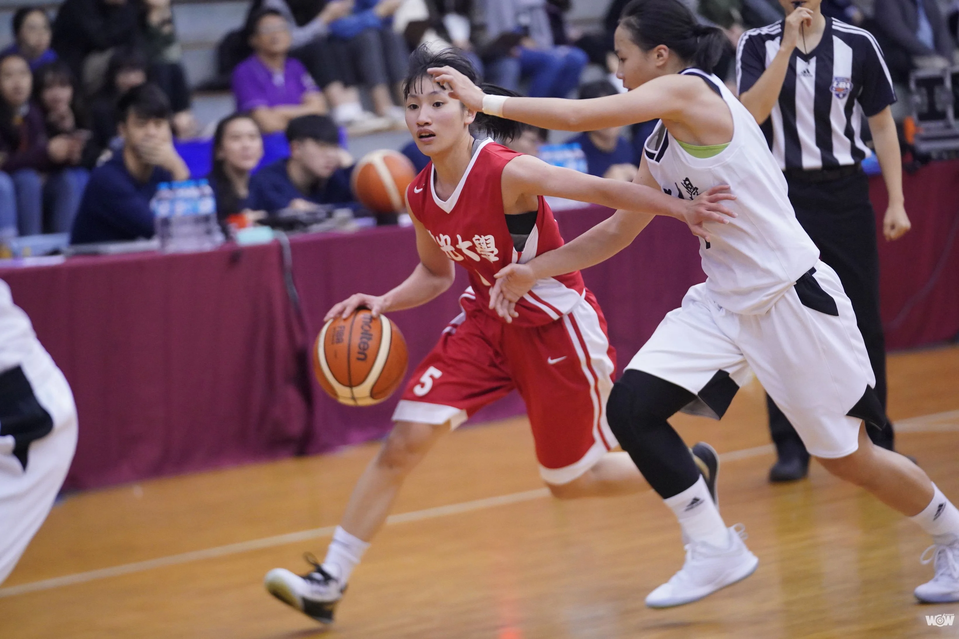 《富邦人壽UBA》佛光頂住壓力-退文化確定進軍小巨蛋