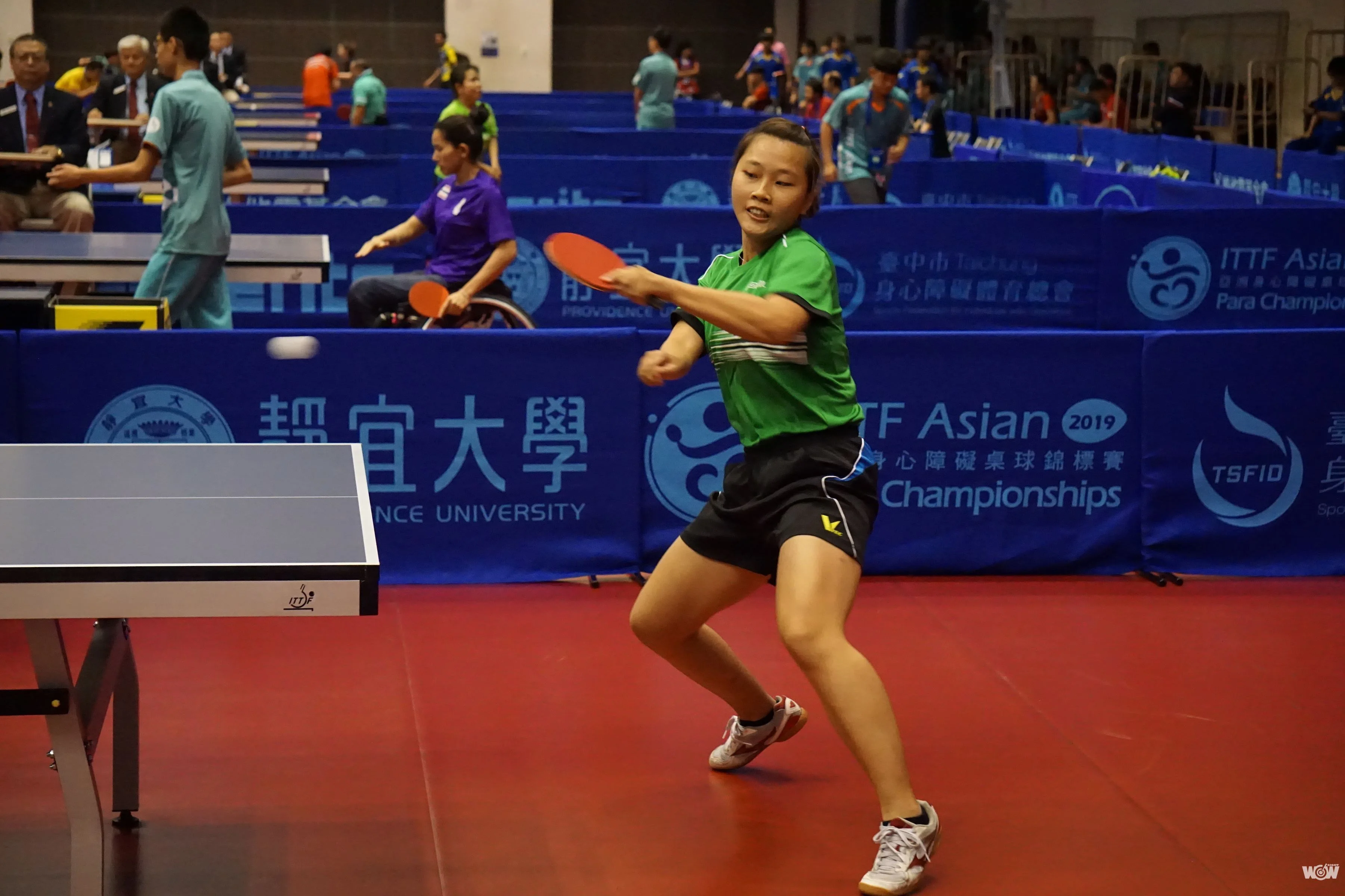 《桌球》身障亞錦賽田曉雯坐二望一 東京帕運一步之遙