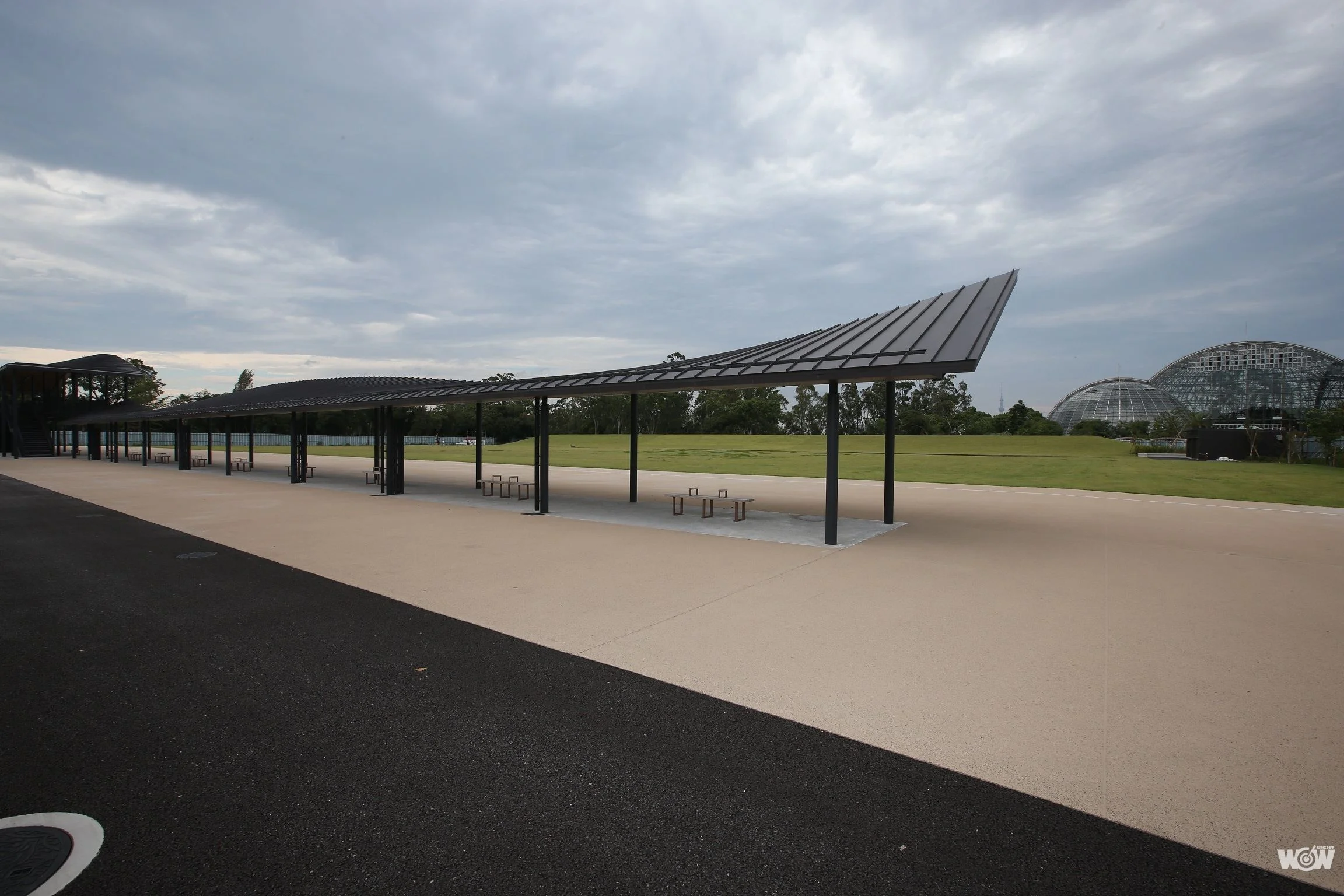 《奧運》體育署情蒐作戰 備戰2020東京奧運