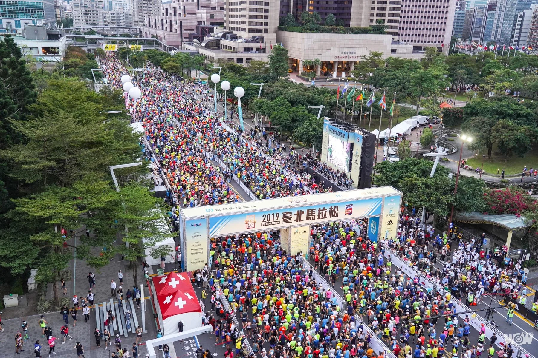 《路跑》台北馬拚金標劍指2022 明年終點台北田徑場見