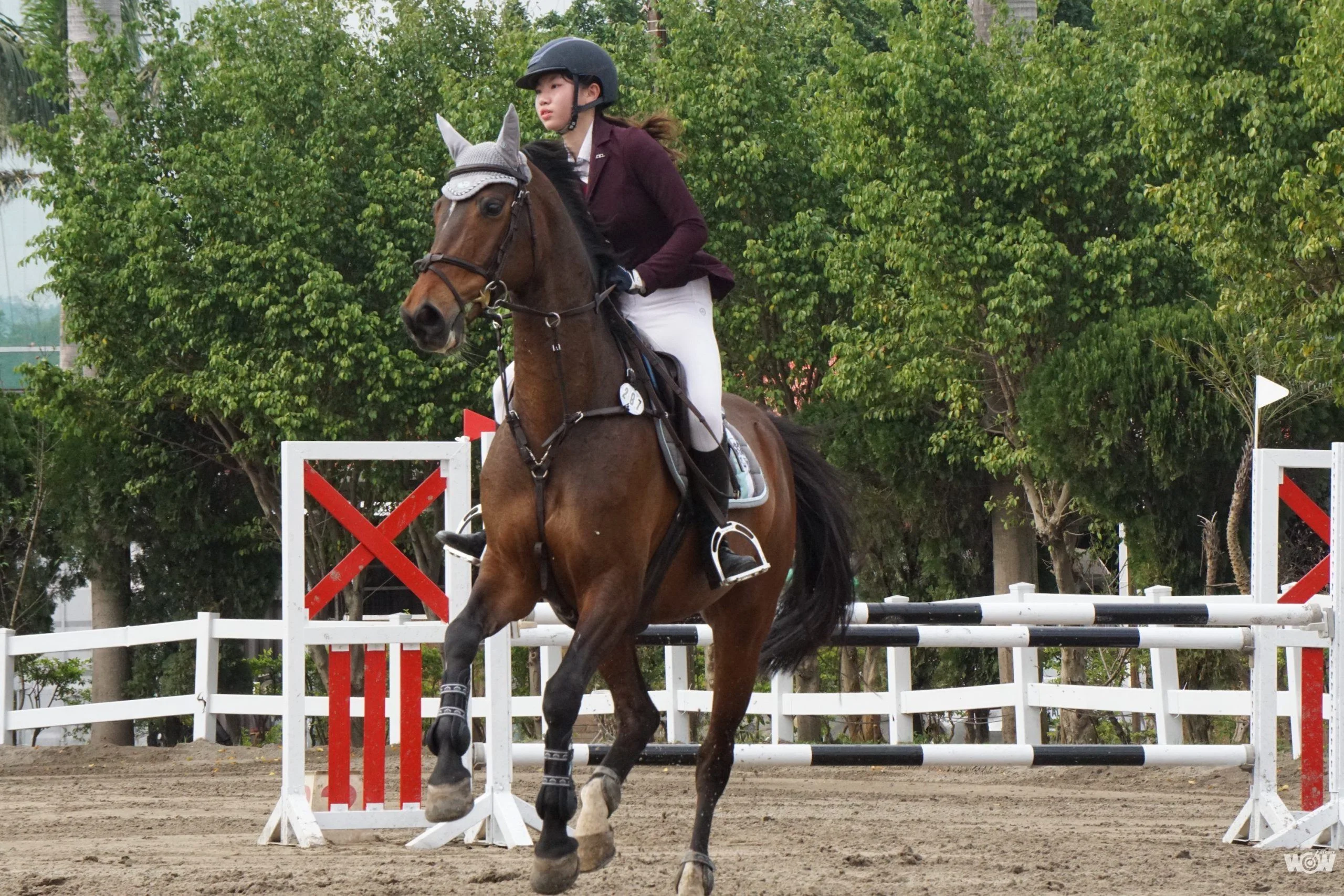 《馬術》沒有國家訓練場地 馬術卻連續兩屆奧運都取得參賽資格