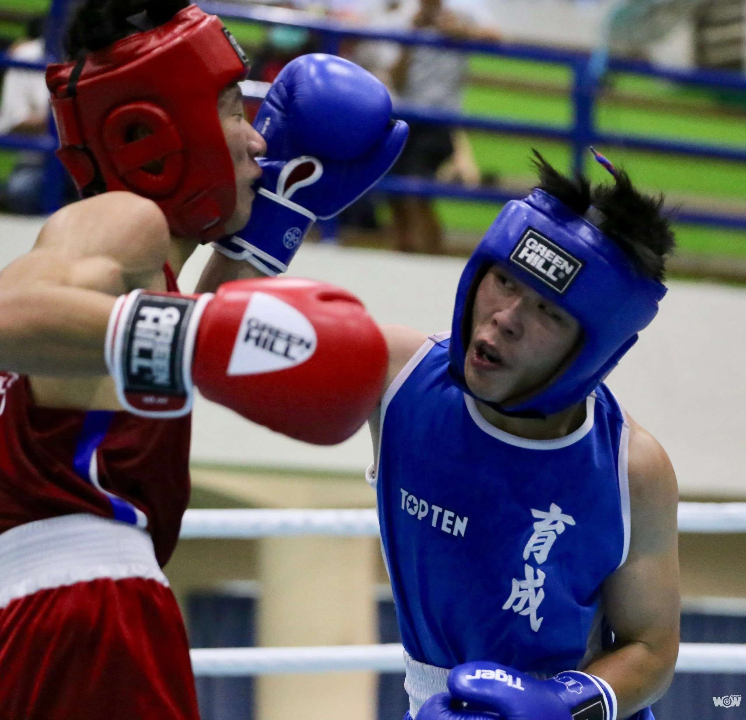 《拳擊》生涯零的突破 育成矮腳虎洪晉勗全中運告別戰摘金