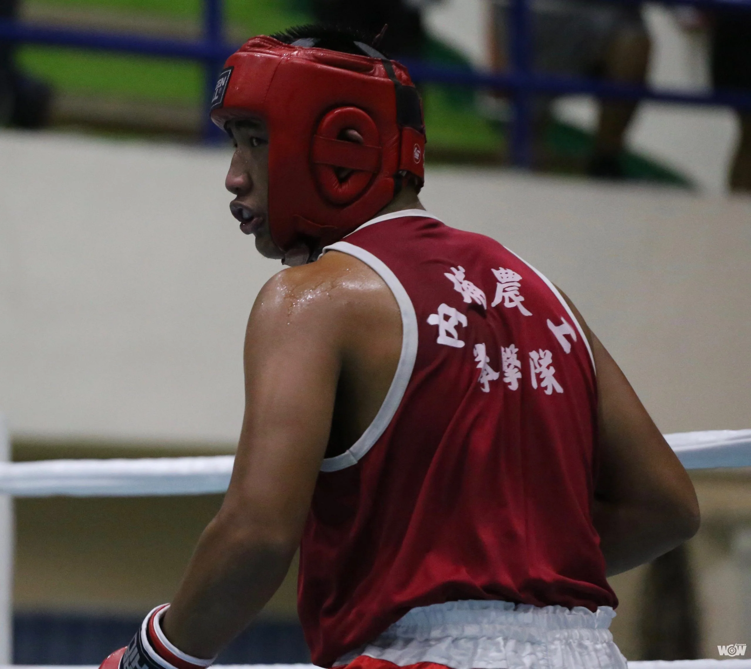 《拳擊》菜鳥霹靂膽 楊仕勛淚奪全中運屏東拳擊唯一金牌