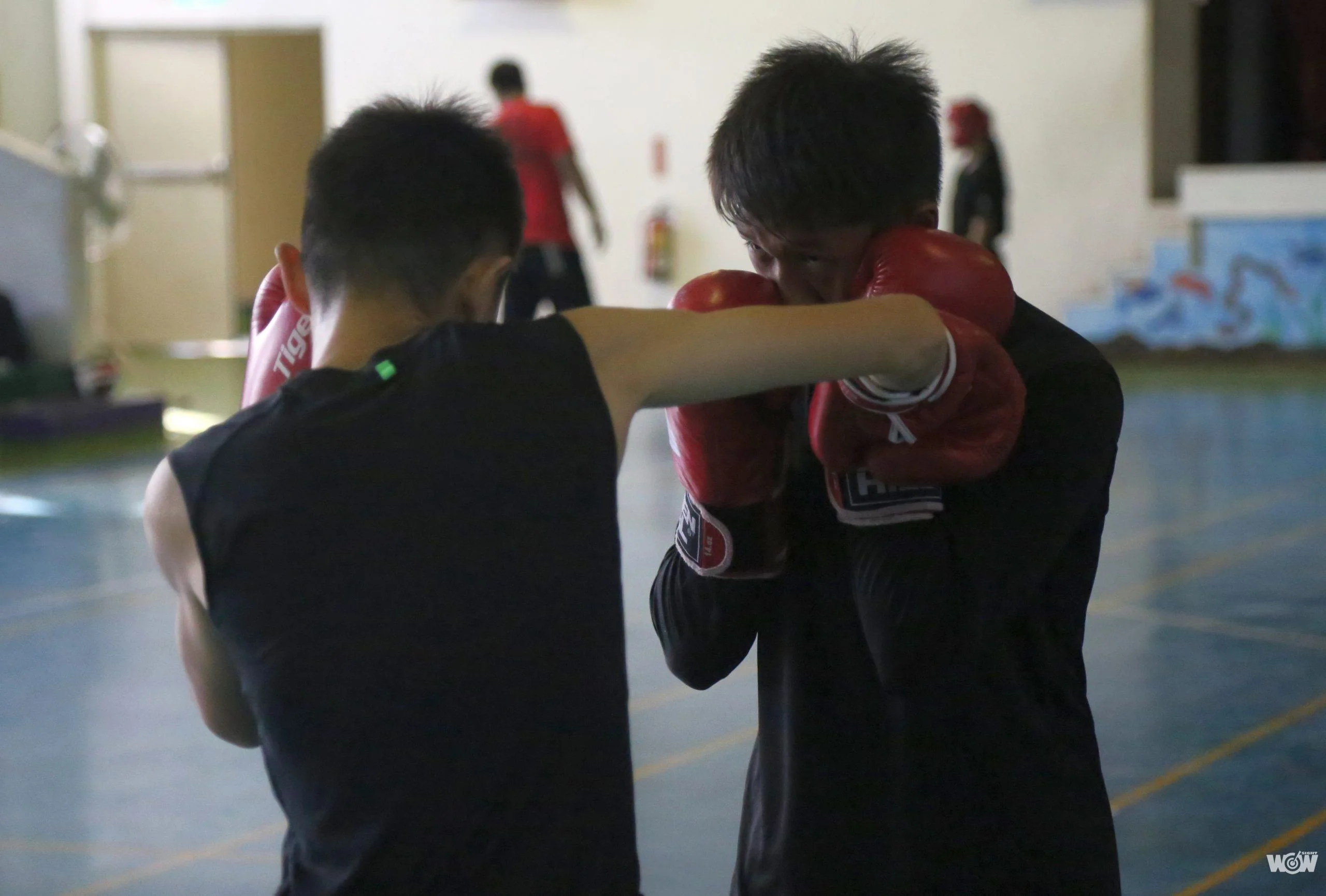 《拳擊》尋找下一代奧運潛力股 青少年拳擊菁英新竹操兵