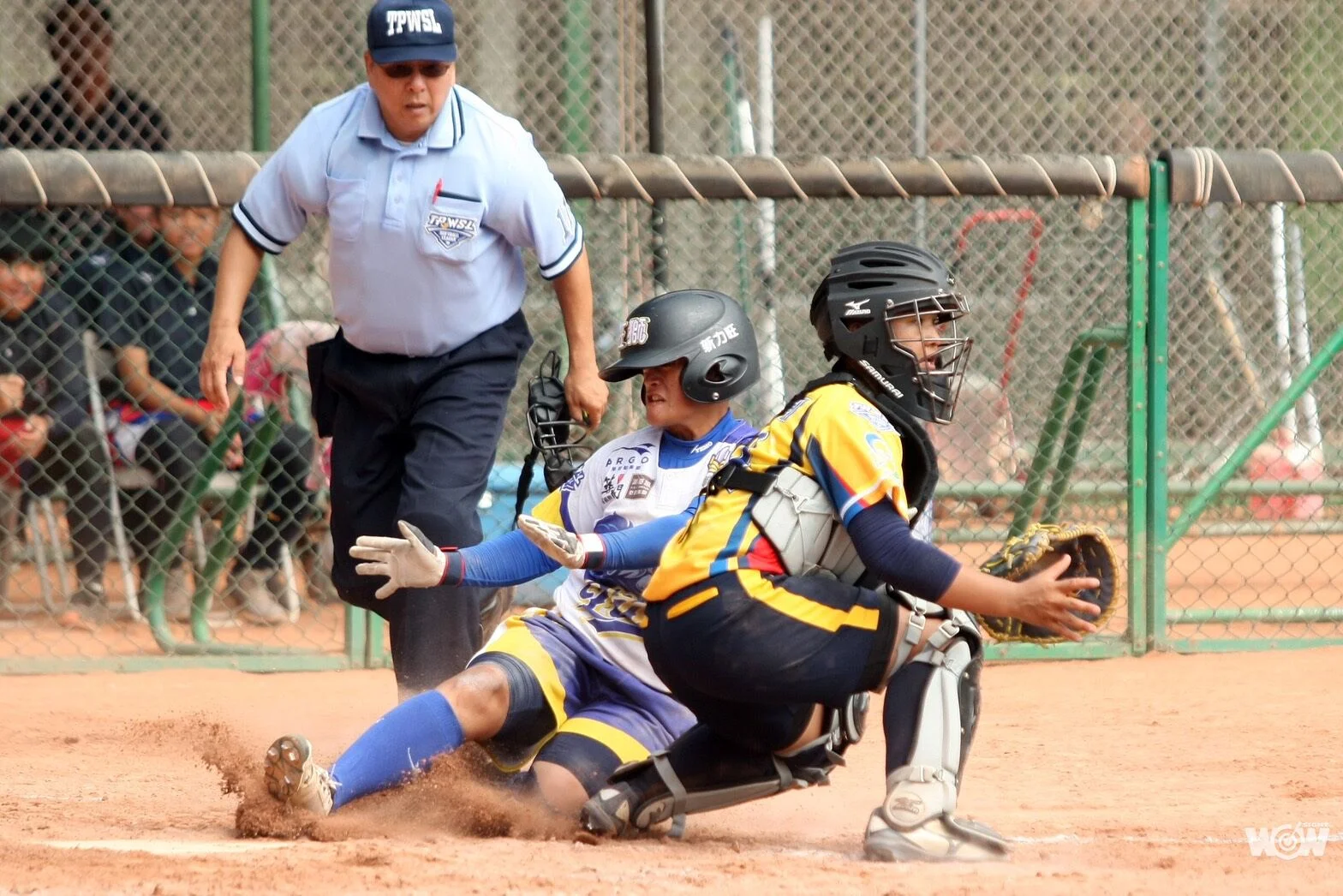 《女壘》企業聯賽年度總冠軍賽 台北青年公園開打
