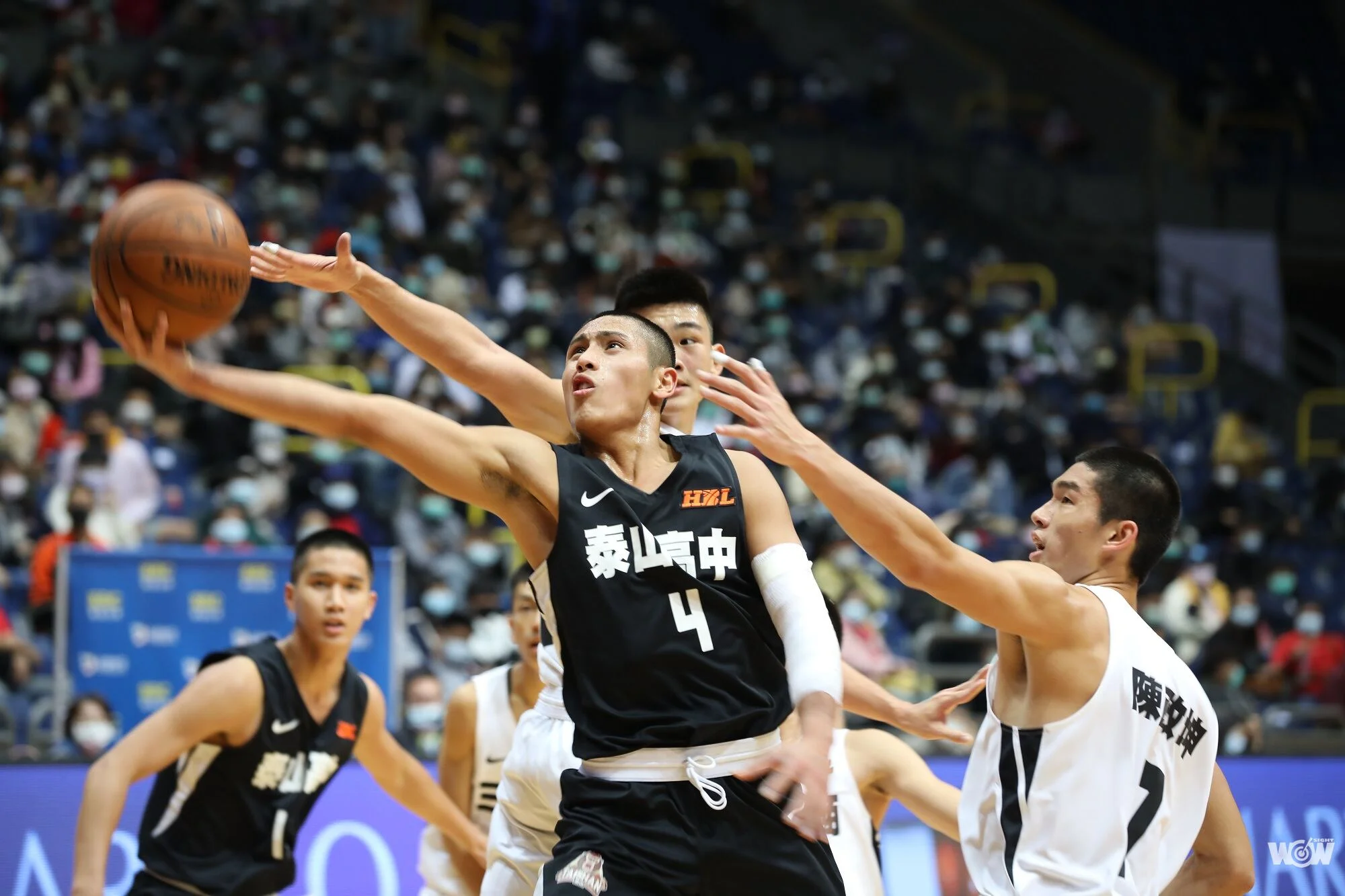 《HBL》又是連勝不止 泰山相信今年結局不一樣