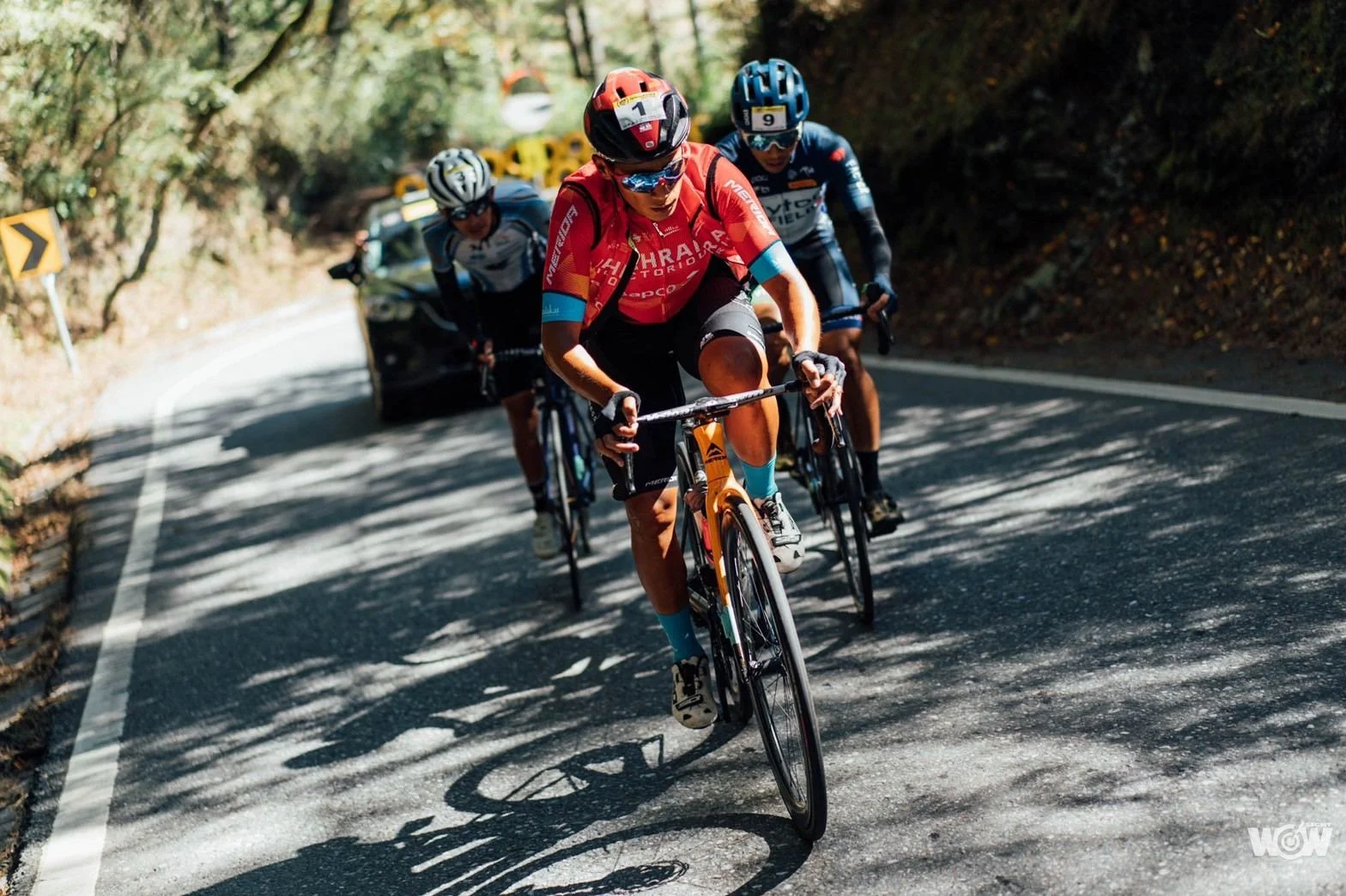 《自行車》刷新個人最佳成績 馮俊凱KOM最速登頂