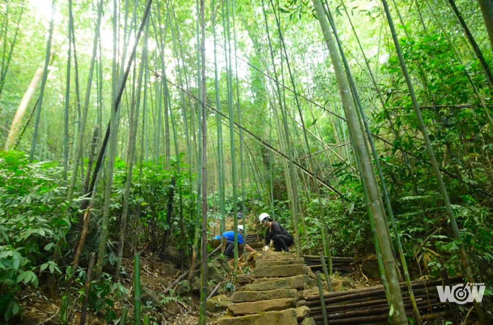 《路跑》Hood to Coast台灣站賽事暫緩 改辦露營健行活動深度探索