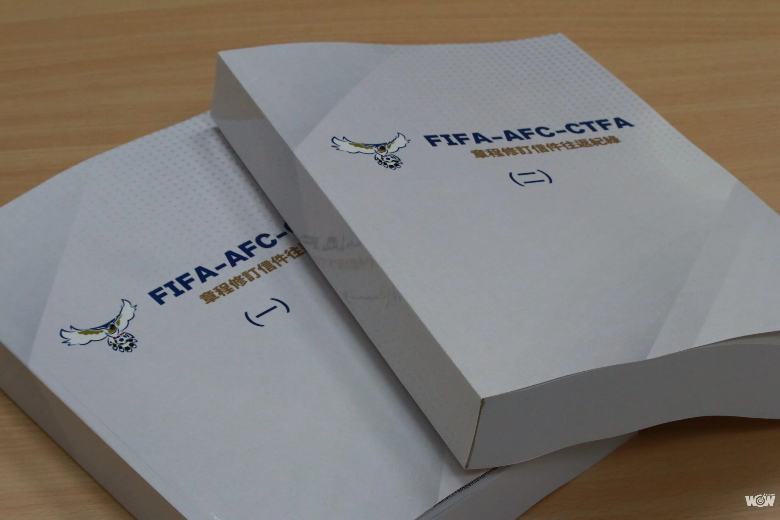 《足球》符合國體法又要國際足總承認 中華足協期盼會員代表能支持章程草案修正