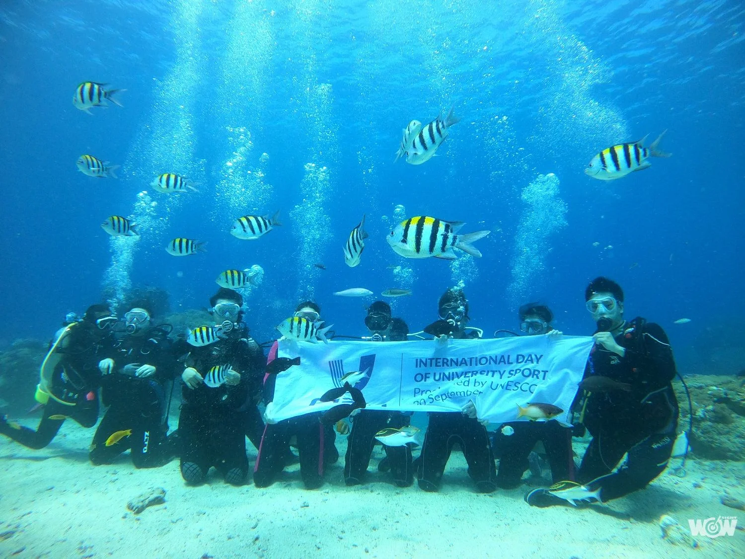 《體壇》結合運動、海洋及永續 水下響應國際大學體育日成全球創舉