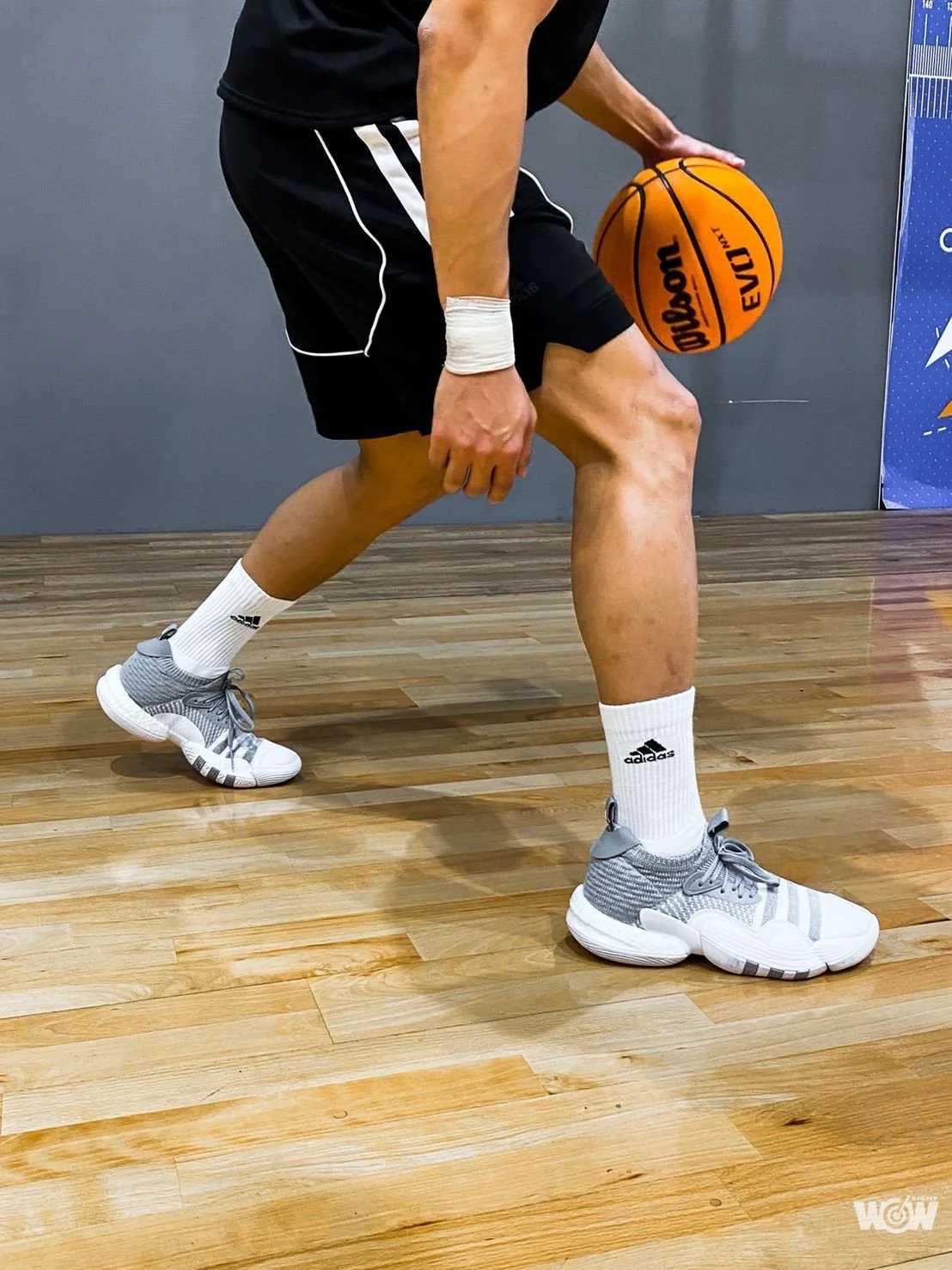 《看裝備》adidas Trae 2 籃球鞋正式登台 林韋翰、黃聰翰第一手著用分享