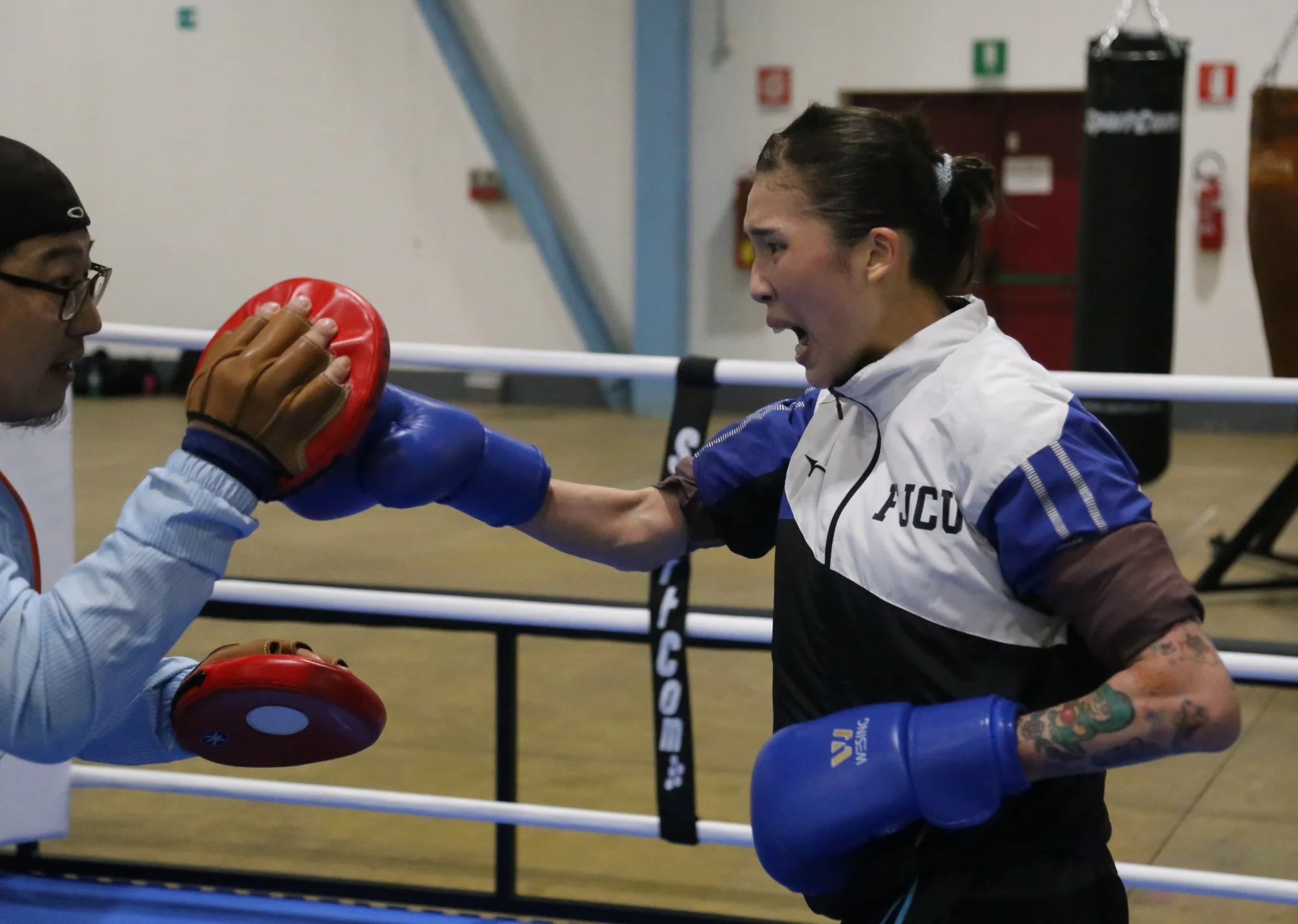 《拳擊》拳擊奧運資格賽開打 杜柏緯、郭怡萱打頭陣