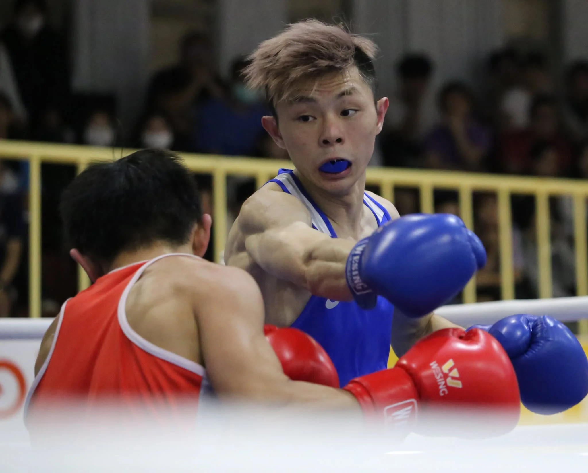 《拳擊》拳擊亞錦賽中華男子隊至少兩面牌 許栢豪撐過食物中毒不適過關斬將挺進4強