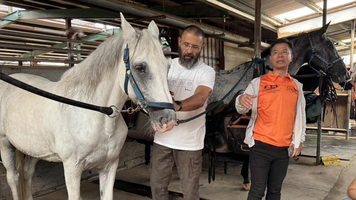 《馬術》「馬」是馬術運動的根本 馬協邀國際講師推廣馬匹福祉與教學理念
