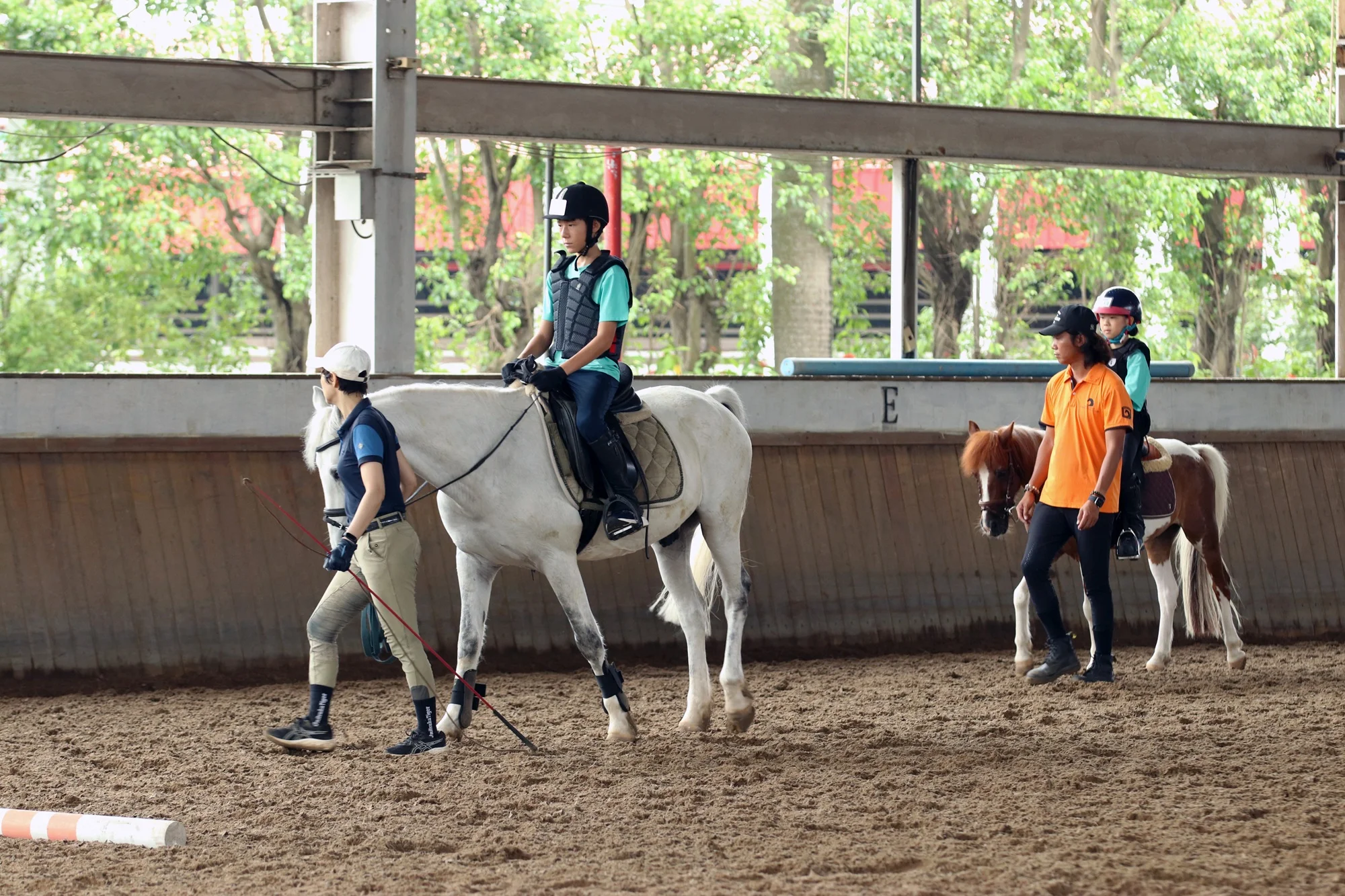《馬術》漢諾威馬術夏令營邁入第26年 助小騎士培養責任感與自信心