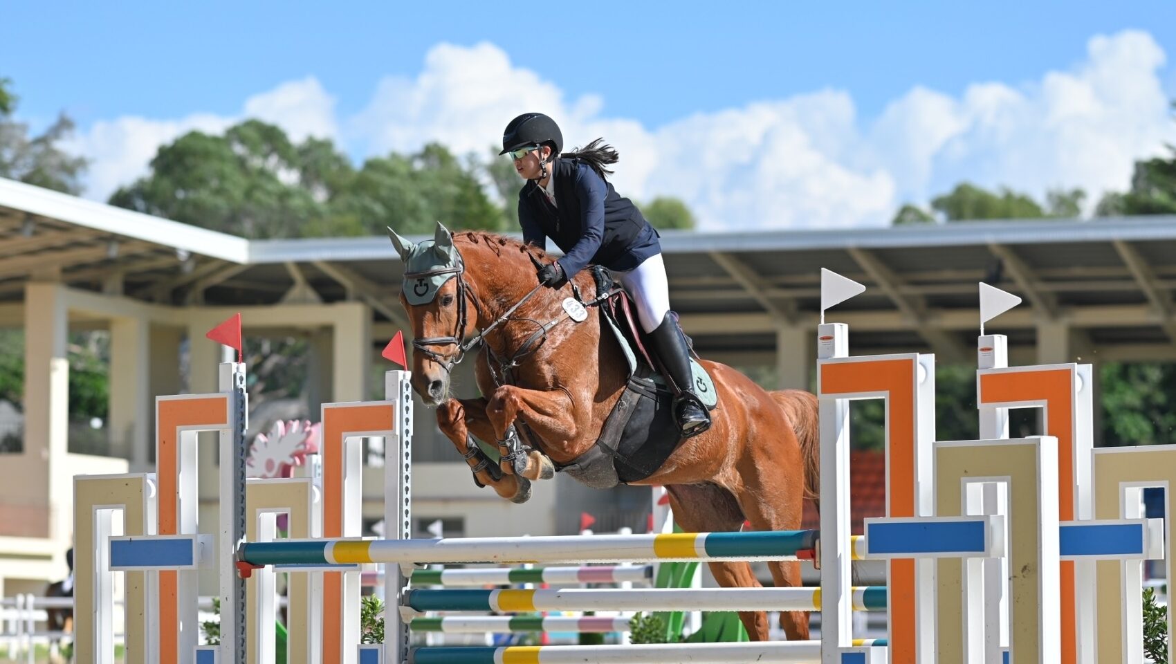 《馬術》從馬術學會忍耐挫折 張爰爰目標跨越10公分的挑戰