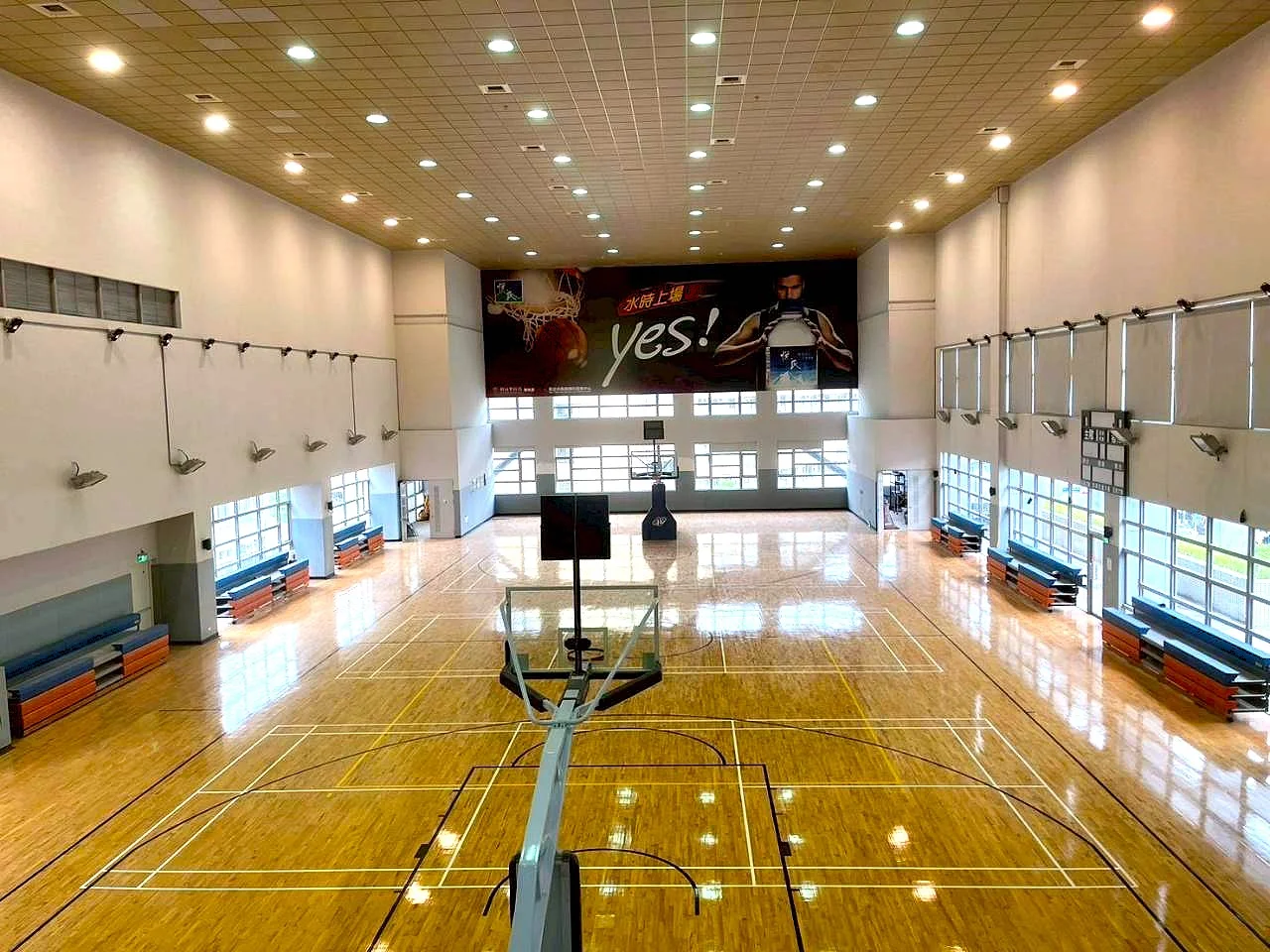 《體壇》板橋運動中心改裝開幕10/25起全館免費體驗 智慧升級、運動零距離